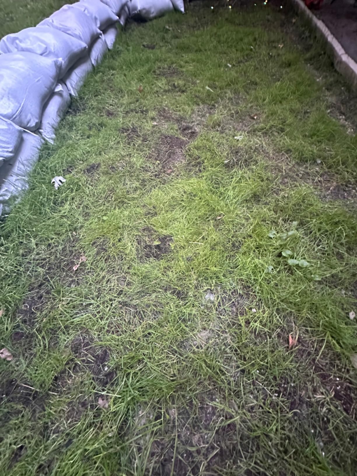 LawnMaster OcuMow Robot Lawn Mower with Cordless 24V MAX 10 Inch Grass Trimmer Combo Kit Perimeter Wire Free for Small Yards 2000-4000 Square Feet Optical Navigation Automatic Obstacle Avoidance Spot Cut customer photo 2