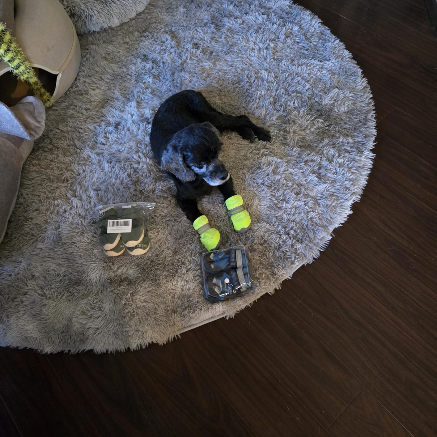 QUMY 4PCS Dog Shoes for Small Dogs, Hot Pavement Summer Puppy Dog Boots & Paw Protectors with Soft Anti-Slip Rubber Sole, Mesh Breathable Dog Booties for Hardfloors, Walking Running Pink Size 3 customer photo 1