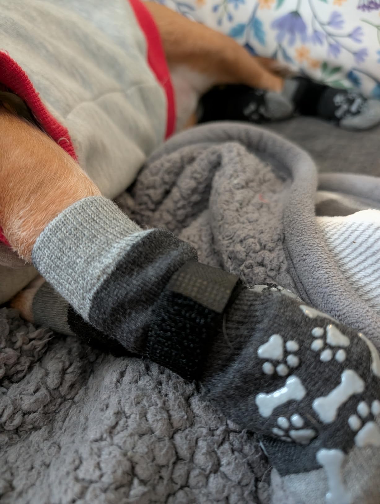 KOOLTAIL Dog Socks Shoes for Hot Pavement to Prevent Licking Paws, Winter Dog Boots&Paw Protector for Hardwood Floors Anti Slip,Traction Control Grip Booties for Small Medium Large Senior Dogs,Black M customer photo 2