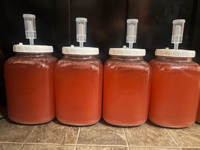 Folinstall 1.5 Gallon Large Fermentation Jars with 2 Airtight Lids and 3 Airlocks, Wide Mouth Glass Mason Jar (2 Pack) customer photo 1