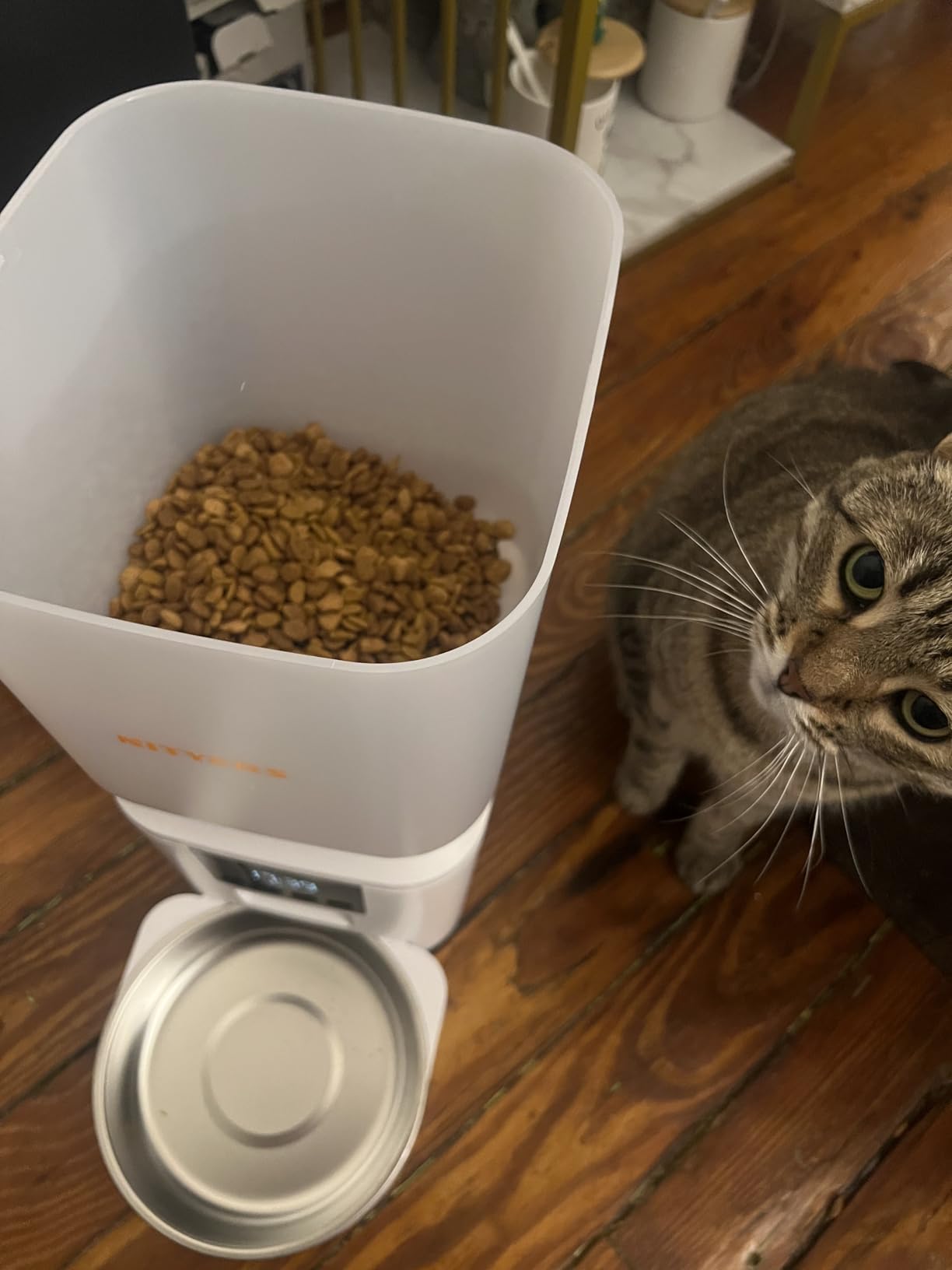 Automatic Dog Feeder - 8L/34 Cups Large Capacity Automatic Cat Food Dispenser with LCD Screen, Large Food Tray, Battery Operated, Timed Cat Feeder, Up to 50 Portions 6 Meals Per Day, Keeps Fresh customer photo 2