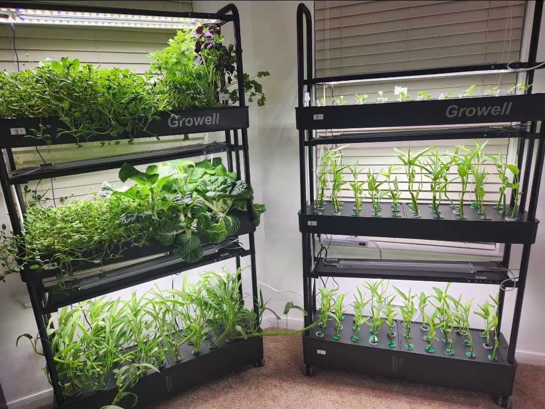 90-Pod Hydroponics Growing System, Large Vertical Hydroponic Garden with Smart Full-Spectrum Grow Lights, Auto Circulating Water, Mobile Indoor Gardening System customer photo 1