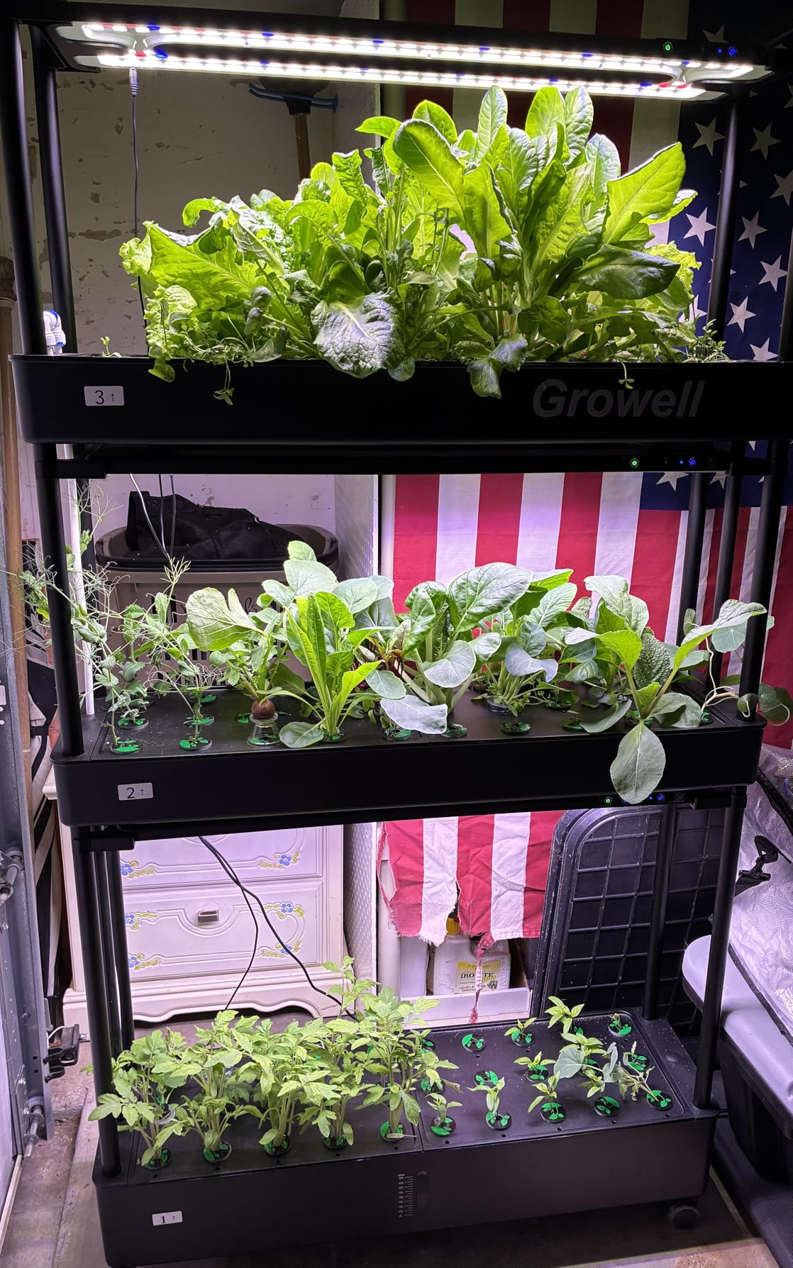 90-Pod Hydroponics Growing System, Large Vertical Hydroponic Garden with Smart Full-Spectrum Grow Lights, Auto Circulating Water, Mobile Indoor Gardening System customer photo 2