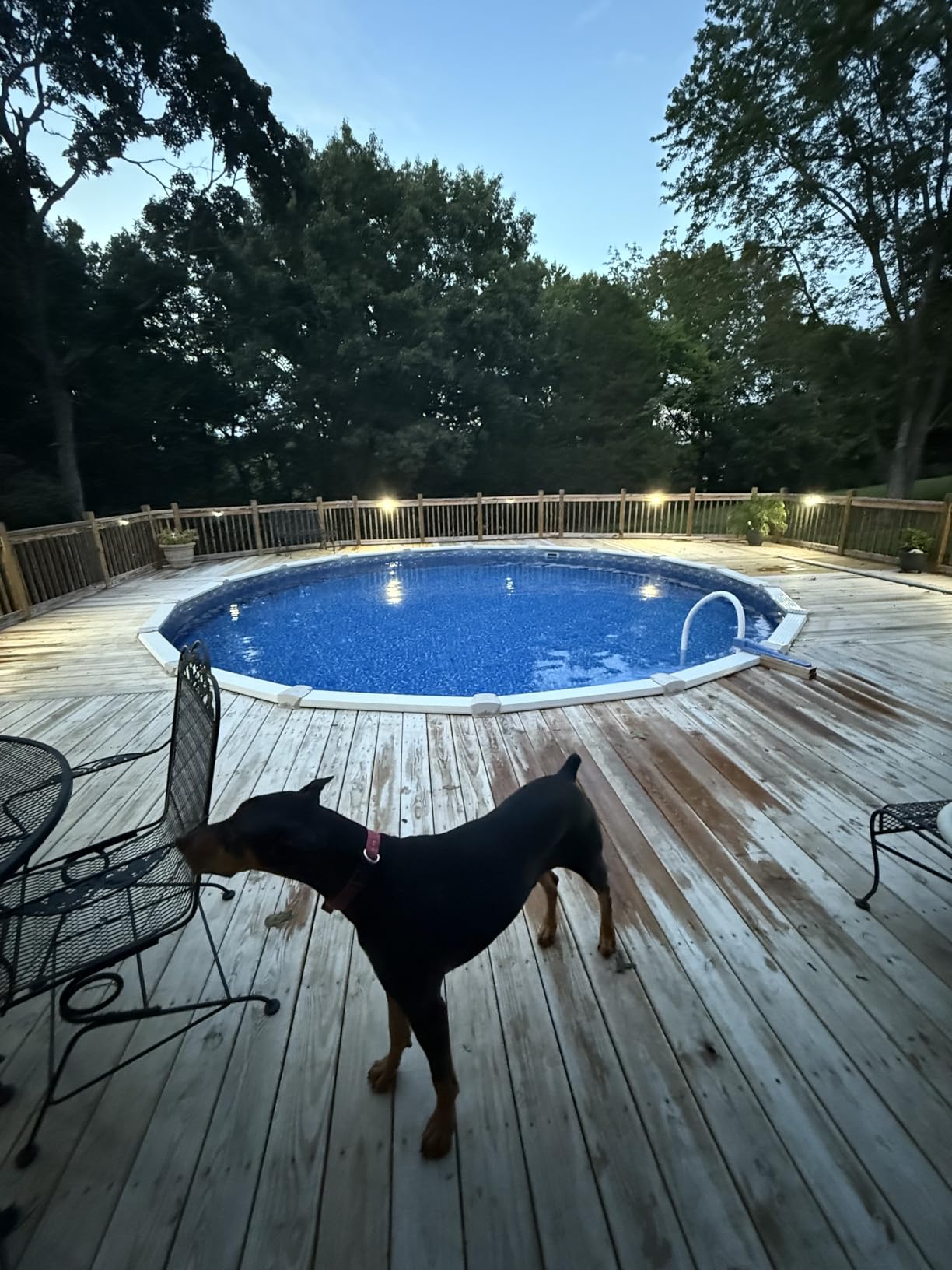 Saltwater Pool System, Westaho Salt Chlorine Generator with USA Titanium Cell for Above Ground Pools Up to 15,000 Gallons, Compatible with Intex Pool, IP 66 Waterproof customer photo 1
