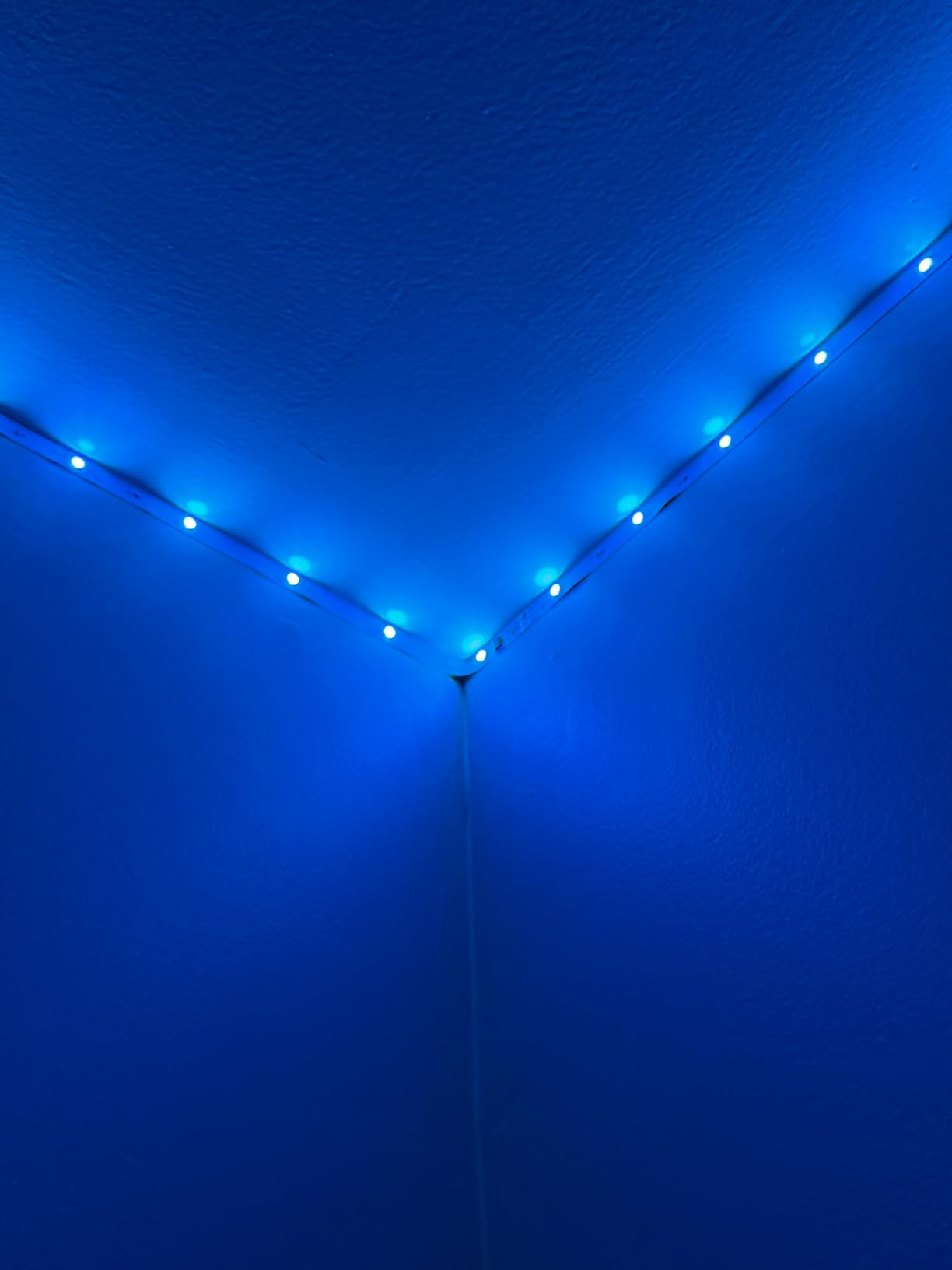 IC Smart RGB LED Strip Lights, 65.6FT LED Lights for Bedroom, App Control/Remote Control, Music Sync, DIY Design, Rainbow Chasing Effects, Strip Lights for Home, Party Decor customer photo 2