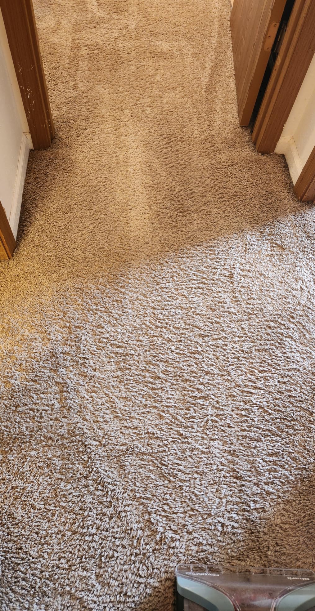 Shark CarpetXpert | Upright Carpet, Area Rug & Upholstery Cleaner | Carpet Shampooer with Handheld Spot & Stain Eliminator | 3 Cleaning Tools | Slate Green | EX151 customer photo 1