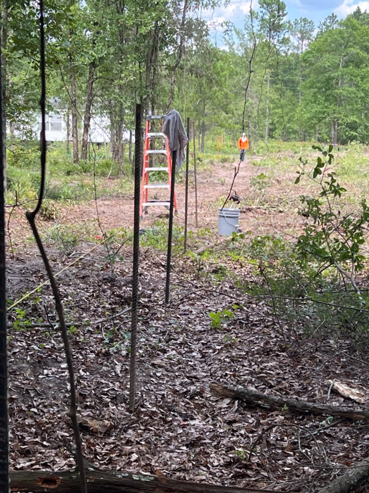 SDS Max Shank T-Post Driver for T Posts, 2 Inch Diameter Head, Compatible with SDS-Max Rotary Hammers and Demolition Hammers, Fence Post Pounder, Fence Posts and Ground Rods customer photo 2