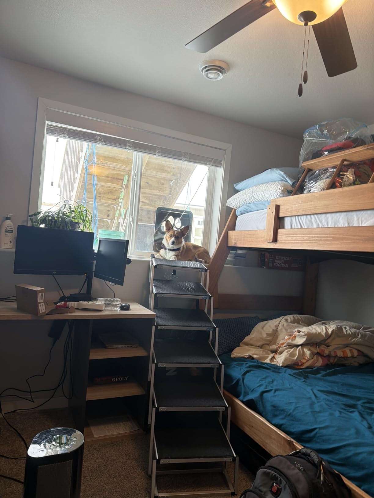 Deergym Dog Stairs for Large Dogs - 5 Step Wide 16in High 34in Foldable Dog Ramp for Car Non-Slip Surface Support up to 230lbs - Suitable for SUV, Truck, Sofas, Bed customer photo 2