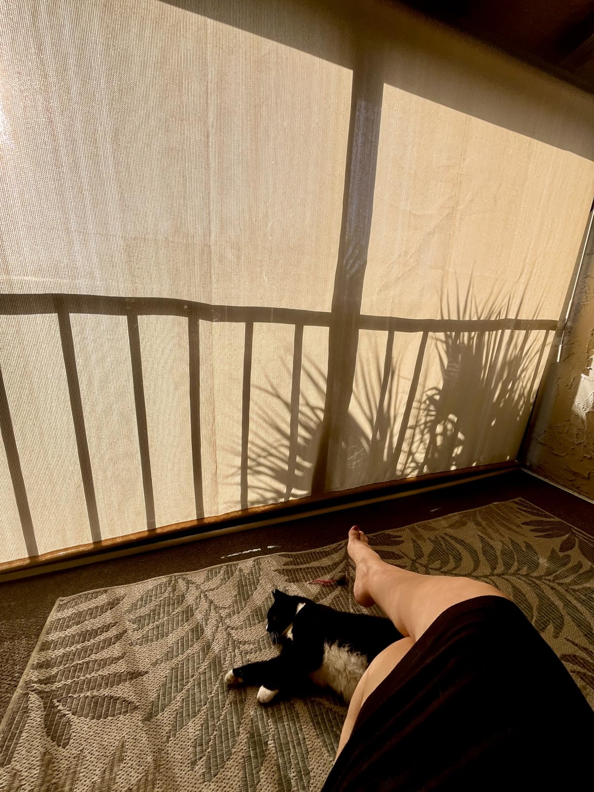 Artpuch Outdoor Roller Shade 8' W x 8' H, Gray Exterior Cordless Patio Shades Roll Up Blinds with Spliced Pole Design, (2 Poles, One-Piece Fabric) customer photo 1