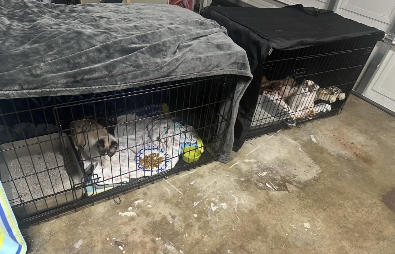 Yaheetech 42 inch Double Door Dog Crate w/Divider for Puppy to Adult XL Collapsible Metal Crate with Removable Tray Wire Dog Kennel for Large Dogs Portable Travel Cage, Black customer photo 2