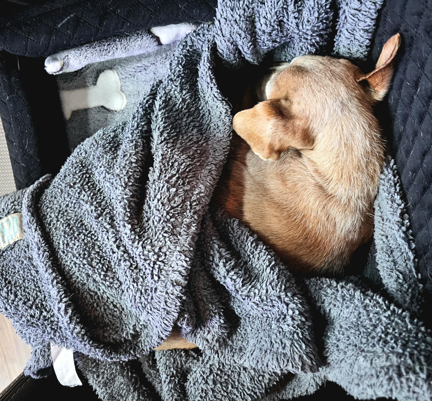 Bestio Large Dog Heating Pad,34x21 in Heated Dog Bed with Constant Heat & Auto Modes, MET&UL Certified Pet Heating Pad with Soothing Warmth,Chew-Resistant Cord,Waterproof Washable Cover-Gray customer photo 2