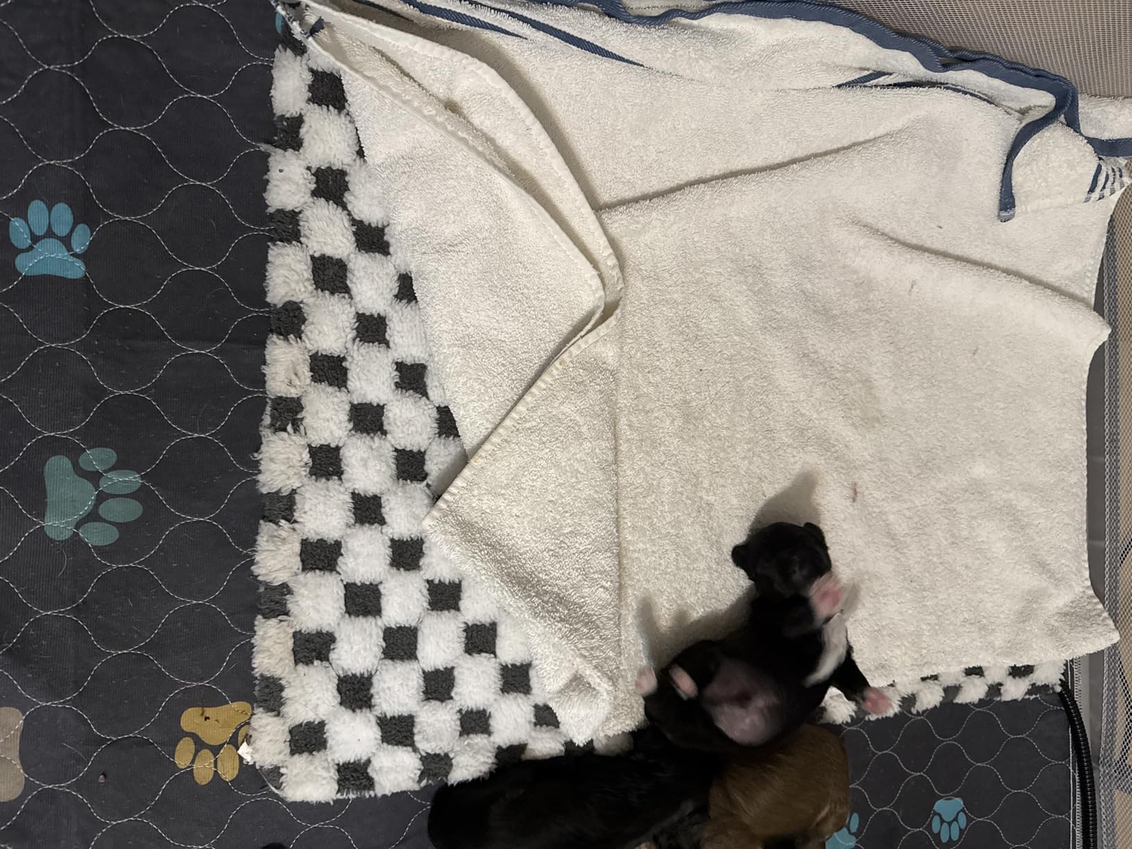 Large Dog Heating Pad 36x24 in with Smart Thermostat Switch and Power Line Protection Tube,Obtained MET and UL Dual Certification,Waterproof Pet Heating Pad for Dogs,with Plush Fabric Cover customer photo 1