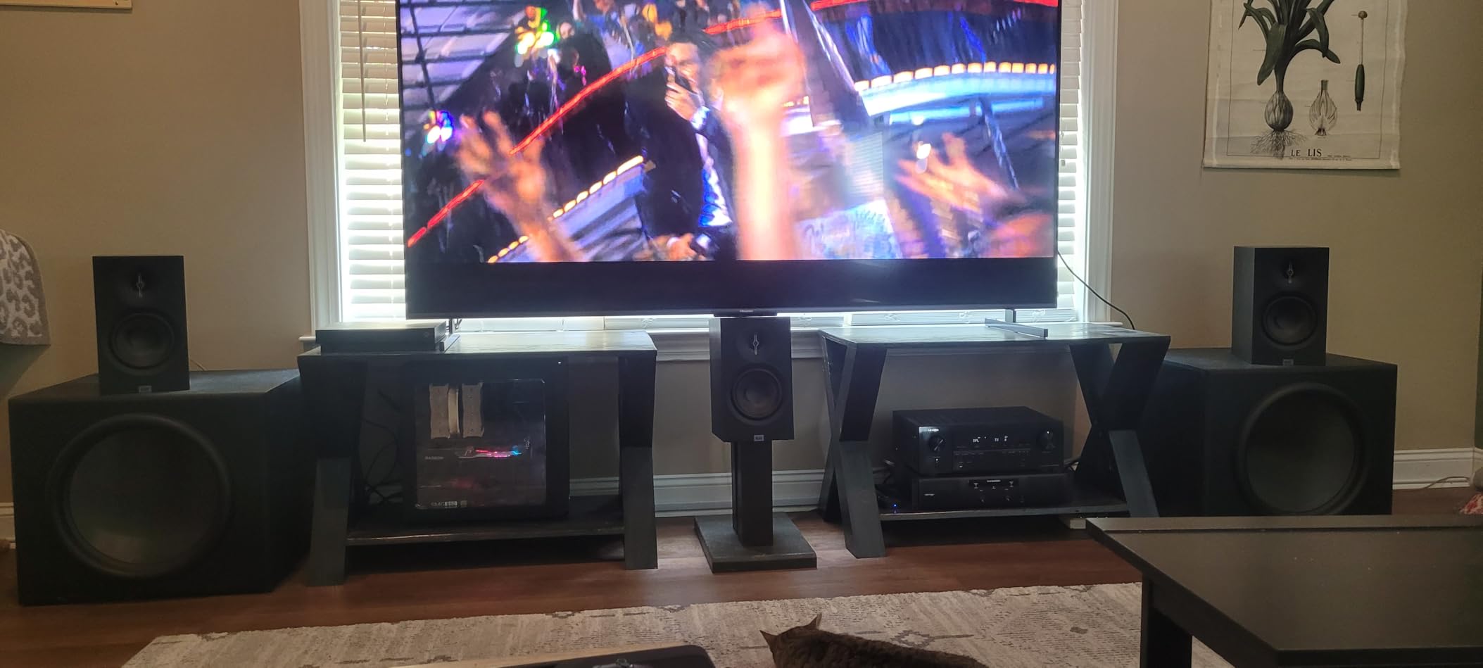 ELAC Debut 3.0 DB63-BK Bookshelf Speakers, Black Ash (Pair) - 1