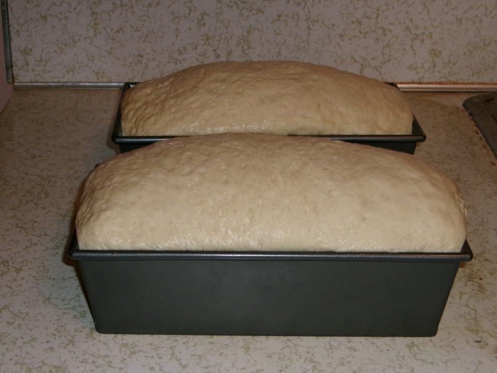 Versatile Dough Proofer Warming Box with Adjustable Temperature & Timer Control customer photo 1