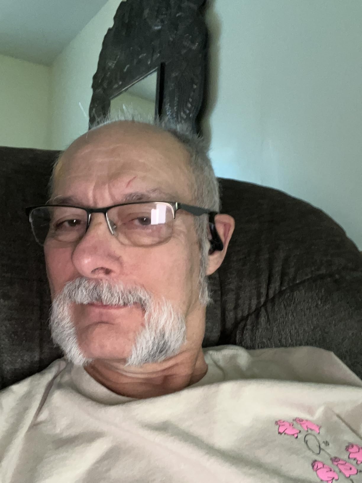 Hearing Aids, Hearing Aids for Seniors with Bluetooth, Rechargeable Hearing Aid with Noise Cancellation, 5-Level Button Volume Control, OTC Hearing Amplifier for Moderate Hearing Loss, Clear Sound customer photo 2