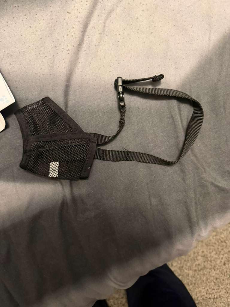 Dog Muzzle for Large Dogs - Air Mesh Muzzle for Large Sized Dog | Adjustable No Bark Dogs Muzzles for Scavenging Licking & Chewing | Prevent Biting | L 7.9'' - 9.4'' customer photo 2