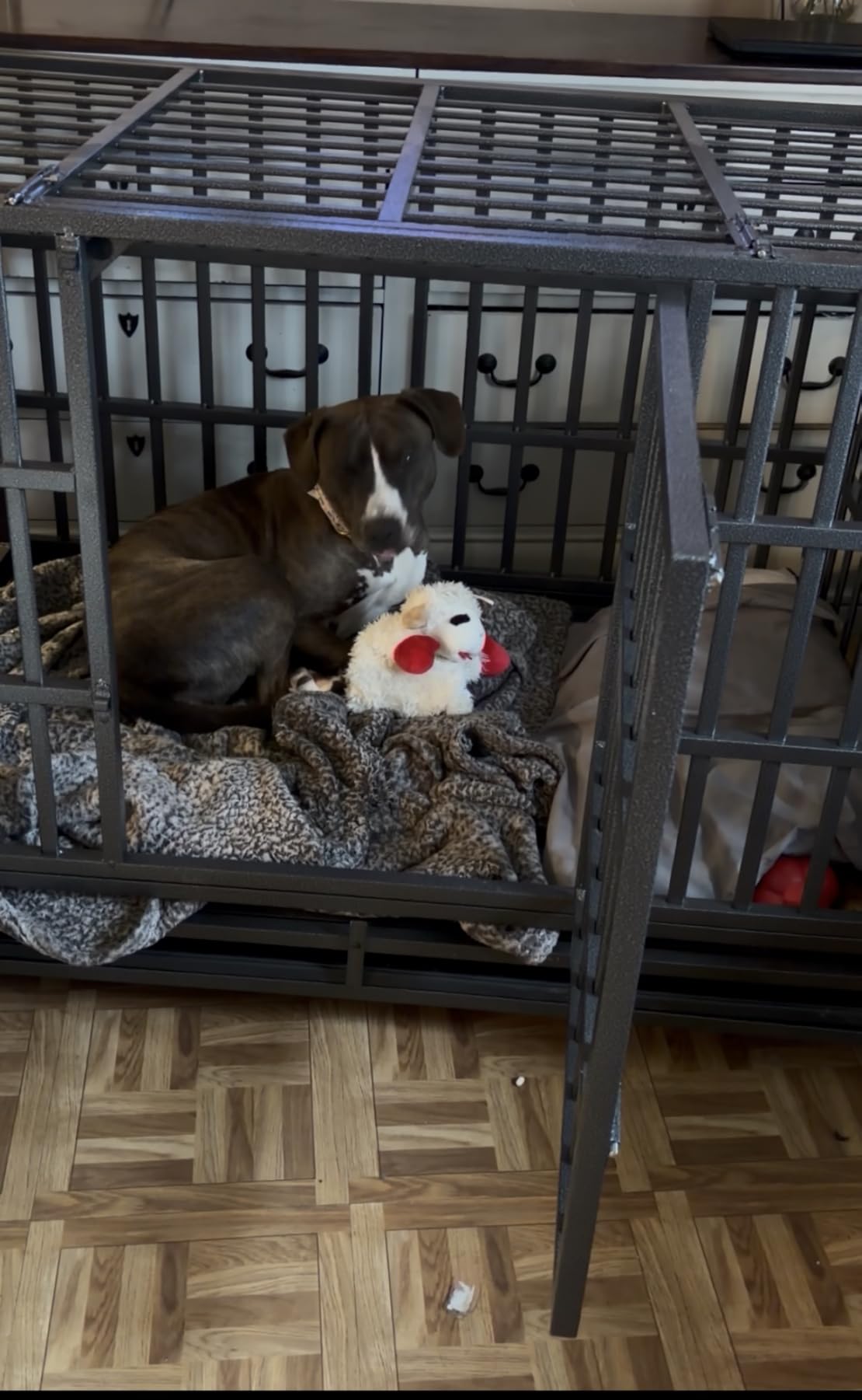 Oranland 48 inch Heavy Duty Indestructible Dog Crate,2025 New Upgraded Reinforced Baseplate for Large Dogs,XL Dog Crate for High Anxiety Dogs/Max Load Capacity 250lbs/Double Door with Wheels customer photo 2