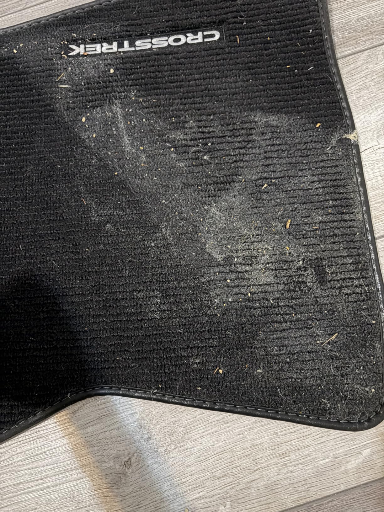 Shark StainStriker HairPro Portable Carpet, Upholstery and Area Rug Cleaner with Pet Mess and Hair Tools, Self-Cleaning, Perfect for Pets and Car Interiors, 4 Cleaning Tools and Pet Solution, Copper, PX251 customer photo 1