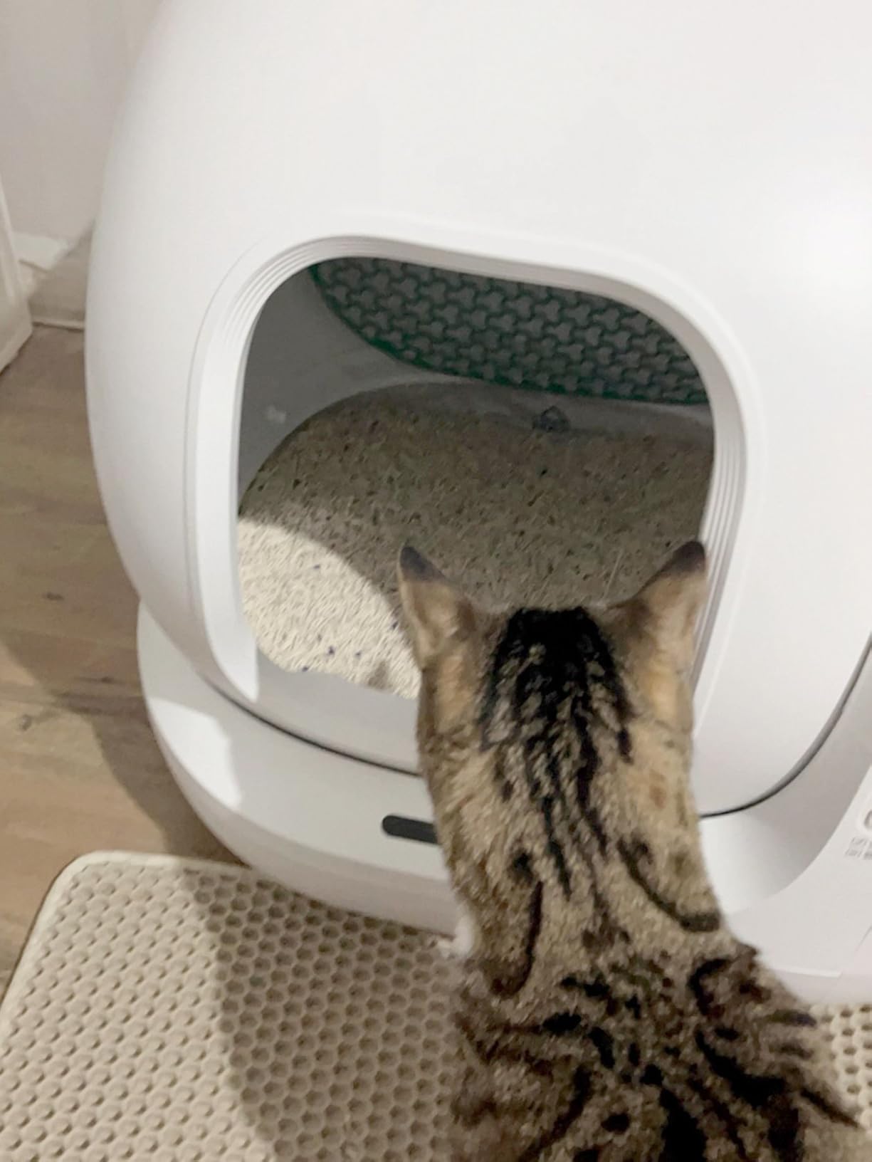 PETKIT PuraMax 2 Automatic Self-Cleaning Cat Litter Box, App Control Automatic Litter Box with Safety Sensors, Odor Free & Anti-Leakage Basic Bundle Includes Trash Bags, 2.4G WiFi & Low Entrance customer photo 1