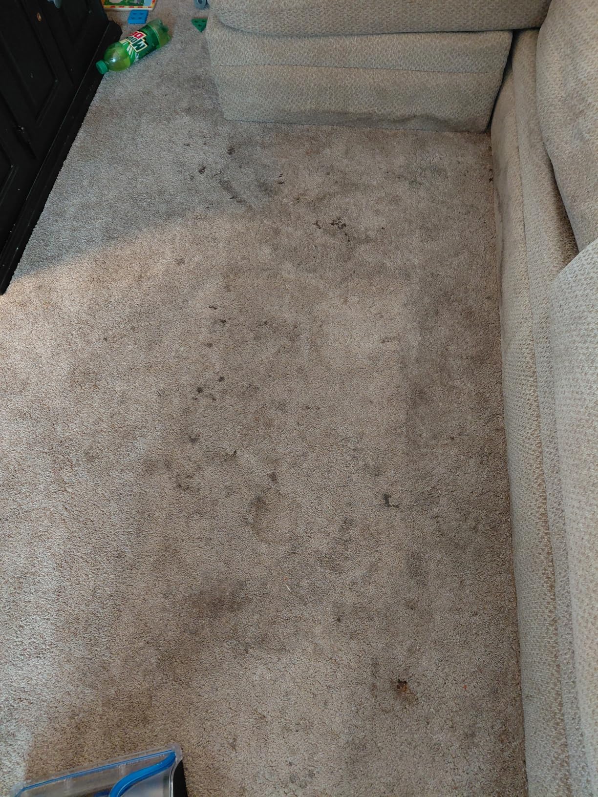 BISSELL TurboClean PET, Upright Carpet & Upholstery Cleaner, 3948 customer photo 1