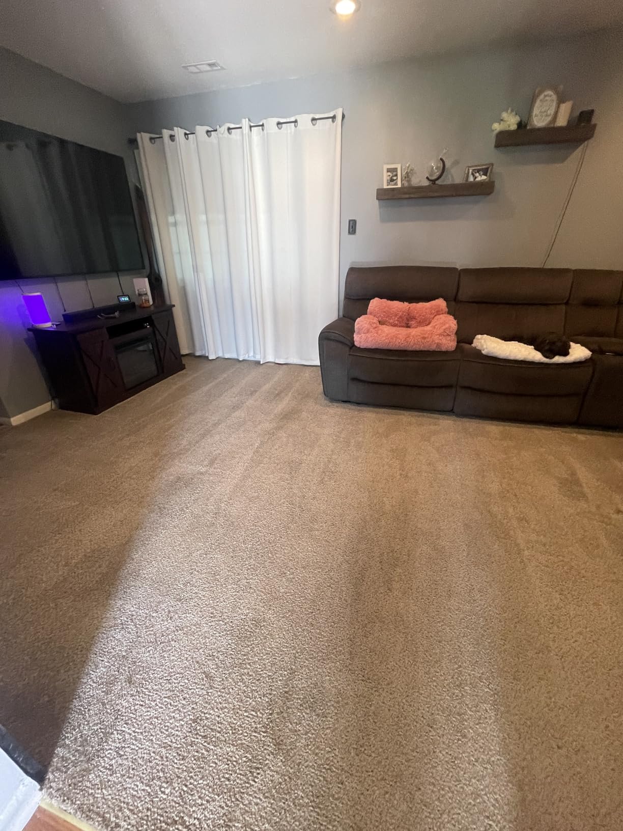 BISSELL TurboClean, Upright Carpet Cleaner, Pro Max Clean & Protect + Oxy Urine Eliminator Formula Included, 3952 customer photo 1