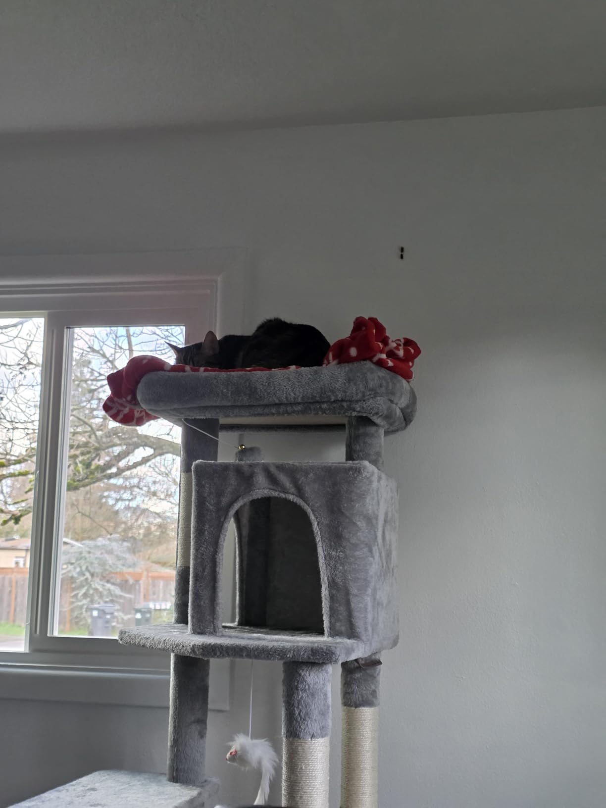 Globlazer Heavy Duty Cat Tree, 70 inch Sturdy Cat Tree for Indoor Cats Extra Large Cat Tower with Scratching Post, Hammock, Cat Condo for Adult Cats Kittens, F70 Pro, Light Grey customer photo 1