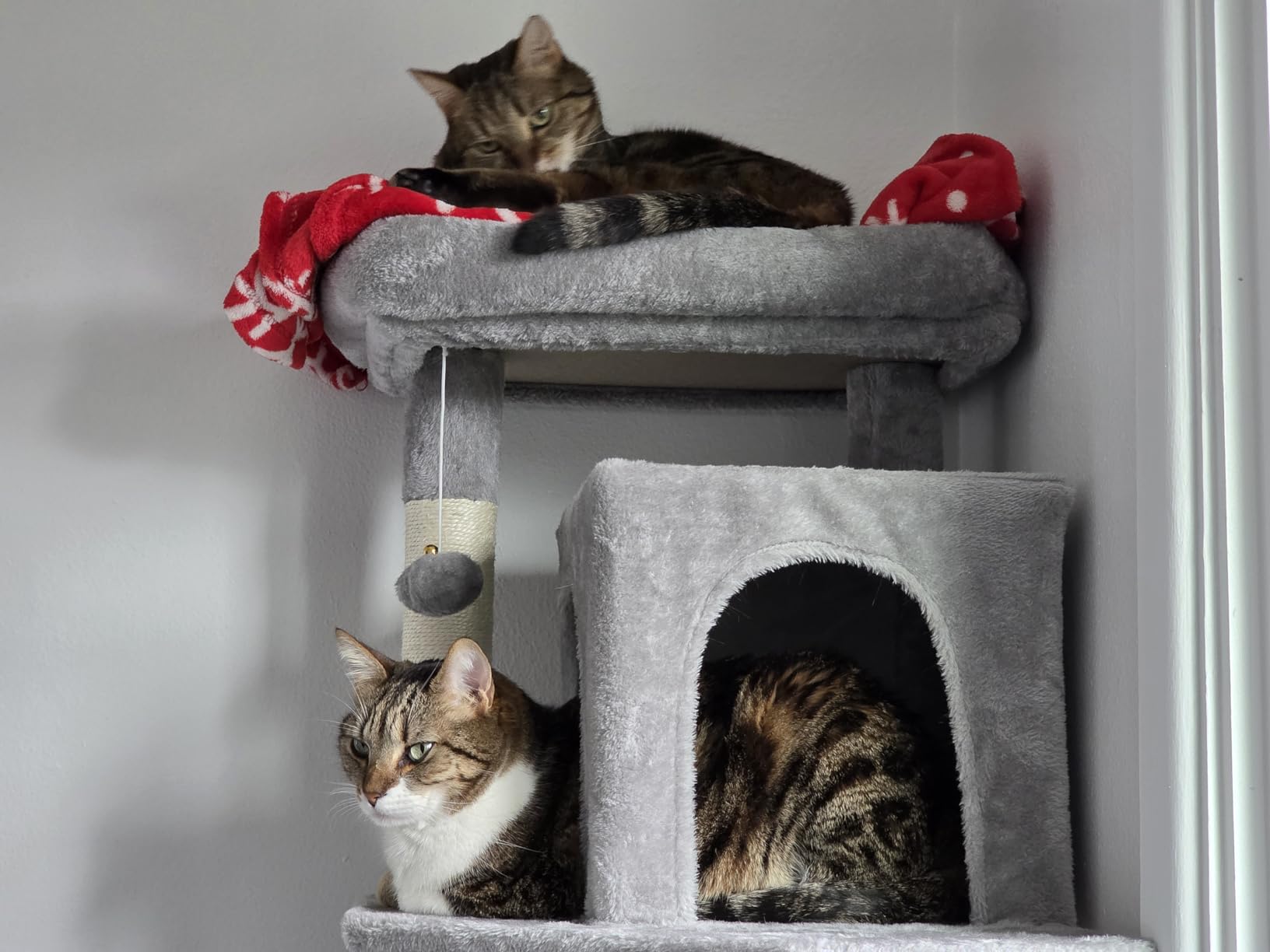 Globlazer Heavy Duty Cat Tree, 70 inch Sturdy Cat Tree for Indoor Cats Extra Large Cat Tower with Scratching Post, Hammock, Cat Condo for Adult Cats Kittens, F70 Pro, Light Grey customer photo 2