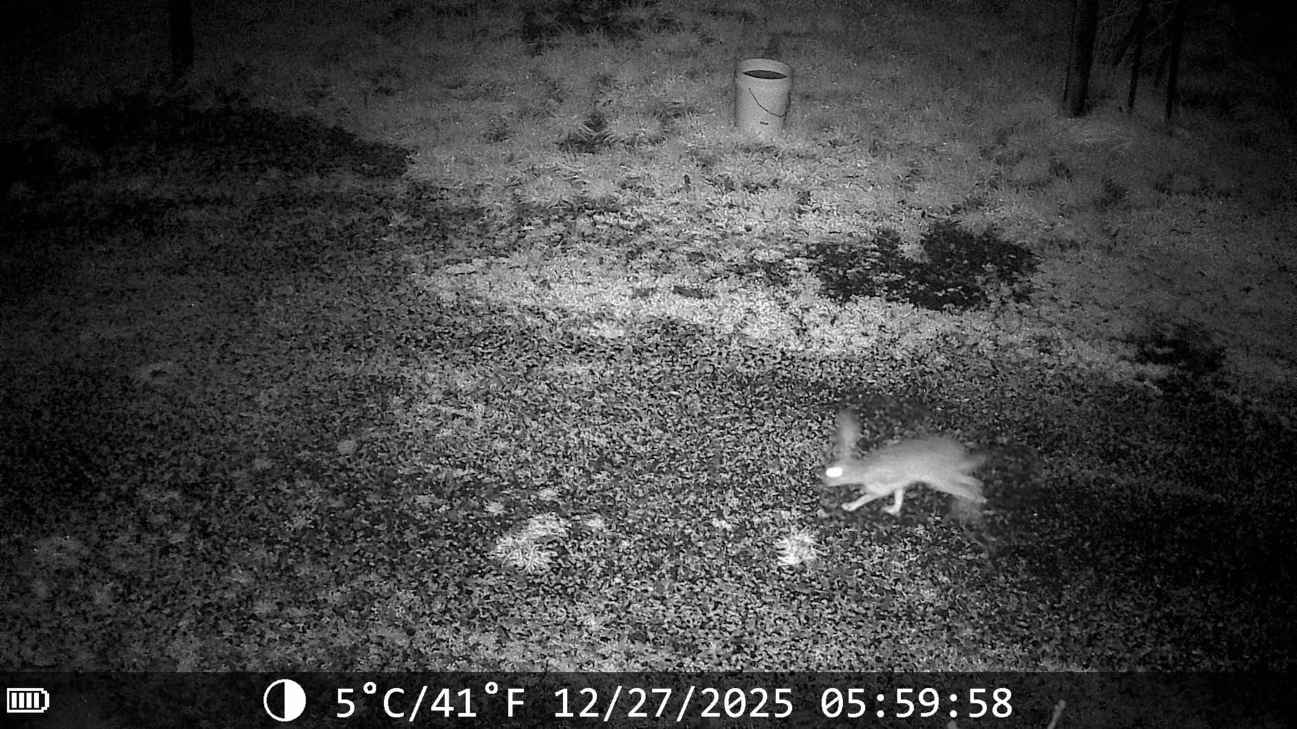 MAXDONE Solar Trail Camera WiFi Bluetooth - 64MP 4K Game Camera with 5200mAh Rechargeable Battery, 0.1s Trigger 65ft Night Vision, IP66 Waterproof Trail Cam with 32GB TF Card for Outdoor Backyard customer photo 1