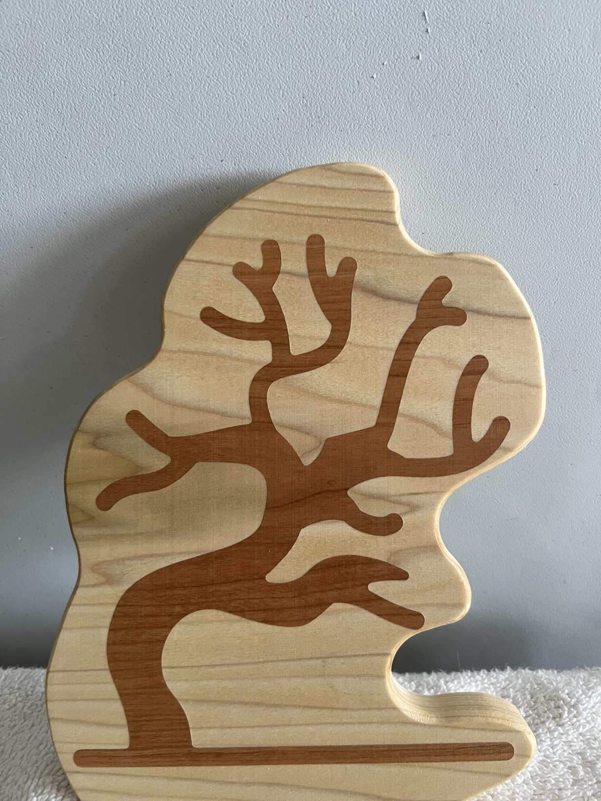 SainSmart Genmitsu 4040-PRO MAX CNC Router, 710W Trimmer & Linear Rail Driven, Work Area 410 x 405 x 77mm customer photo 2