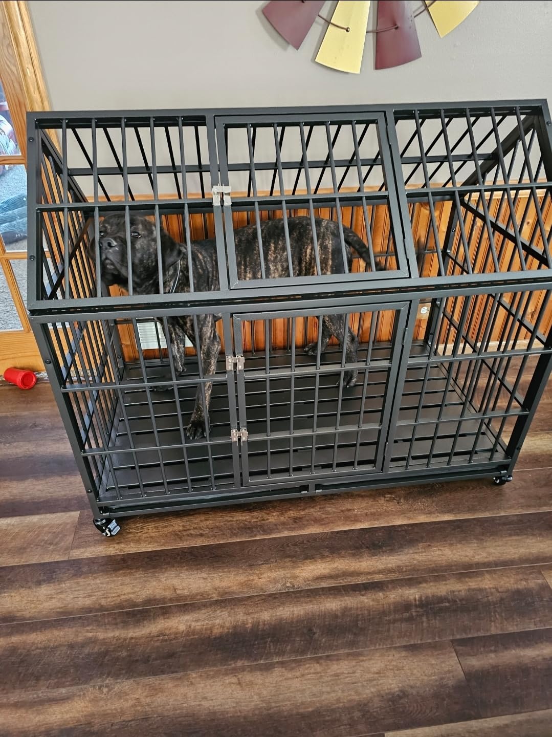 54 inch Heavy Duty Dog Crate Large Dog cage Strong Metal Dog Kennels and Crates for Large Dogs Top Open with 2 Doors 4 Lockable Wheels 2 Removable Trays customer photo 2