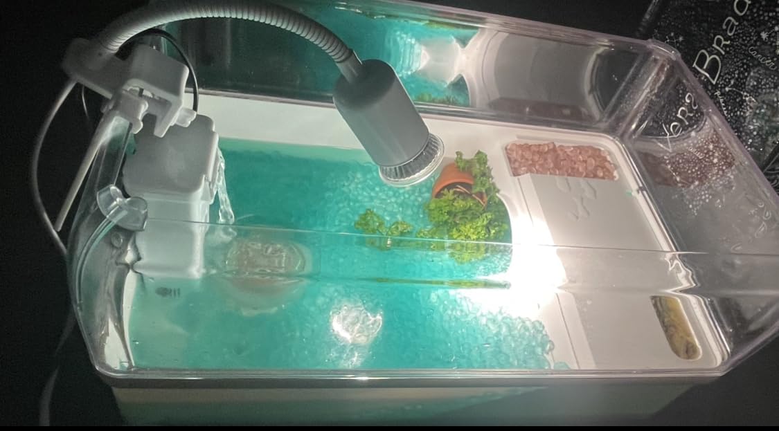 AZV Turtle Tank Habitat Kit, Aquatic Tortoise Enclosure Starter Aquarium with Multi-Function Area and Water Filter, Baby Adult Turtles Tub Complete House, Terrarium for Red Eared Slider Reptile Crab customer photo 1