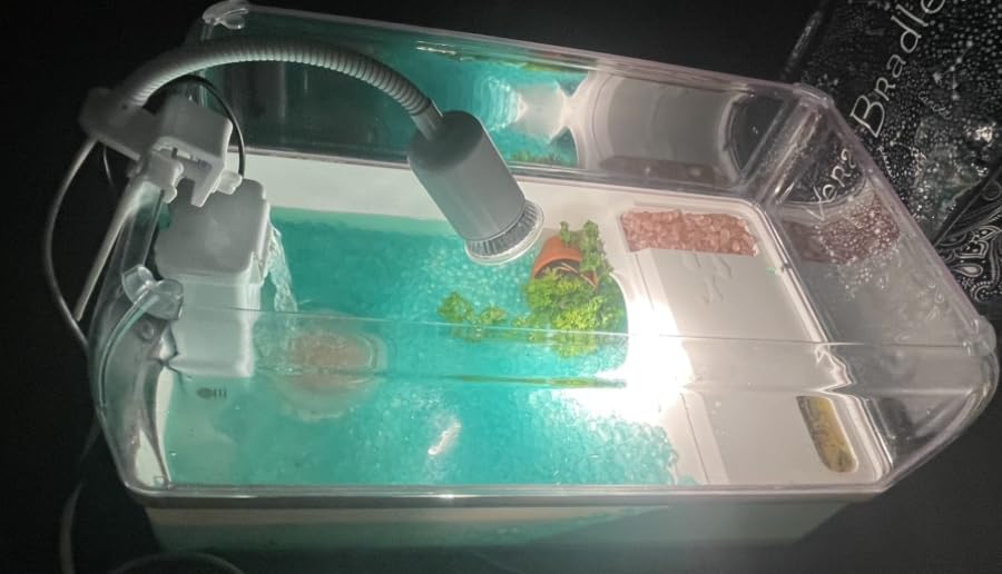 AZV Turtle Tank Habitat Kit, Aquatic Tortoise Enclosure Starter Aquarium with Multi-Function Area and Water Filter, Baby Adult Turtles Tub Complete House, Terrarium for Red Eared Slider Reptile Crab customer photo 2