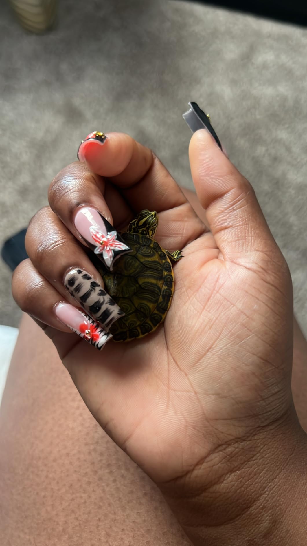 GOZILLA Small Turtle Tank Kit(Tank+Lamp+Filter), Acrylic Turtle Starter Kit with Adjustable Lamp, Reptile Habitat and Terrarium with Multi-Functional Areas for Small Reptiles. (White Kit) customer photo 2