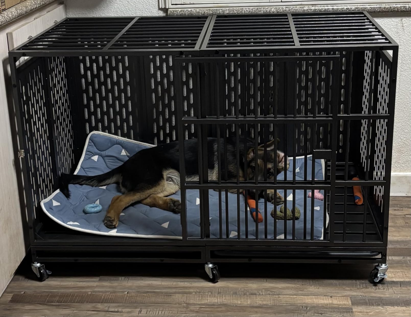 Snuowu 38 Inch Heavy Duty Dog Crate with Wheels, Folding Metal Big Dog Cage for Large and Medium Dogs, Extra Large XL XXL Indestructible Dog Crate with Removable Tray customer photo 1