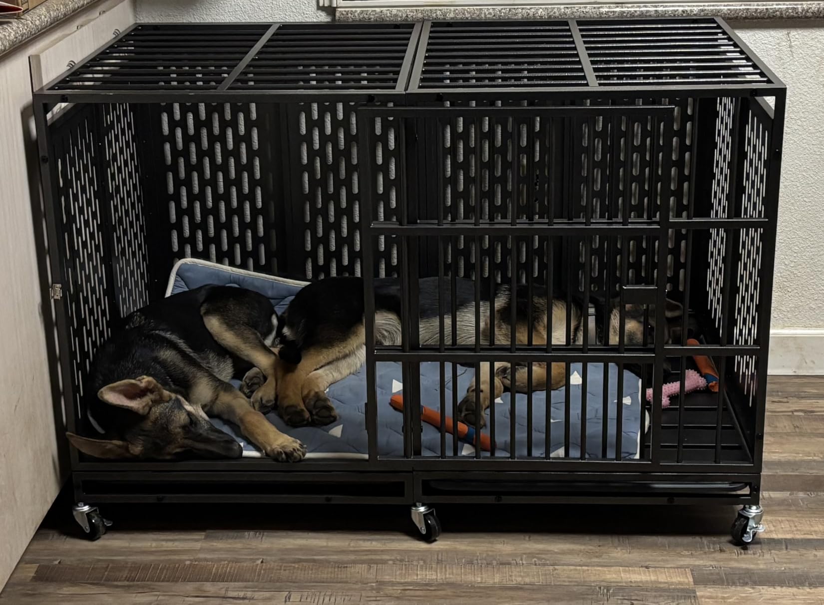 Snuowu 38 Inch Heavy Duty Dog Crate with Wheels, Folding Metal Big Dog Cage for Large and Medium Dogs, Extra Large XL XXL Indestructible Dog Crate with Removable Tray customer photo 2