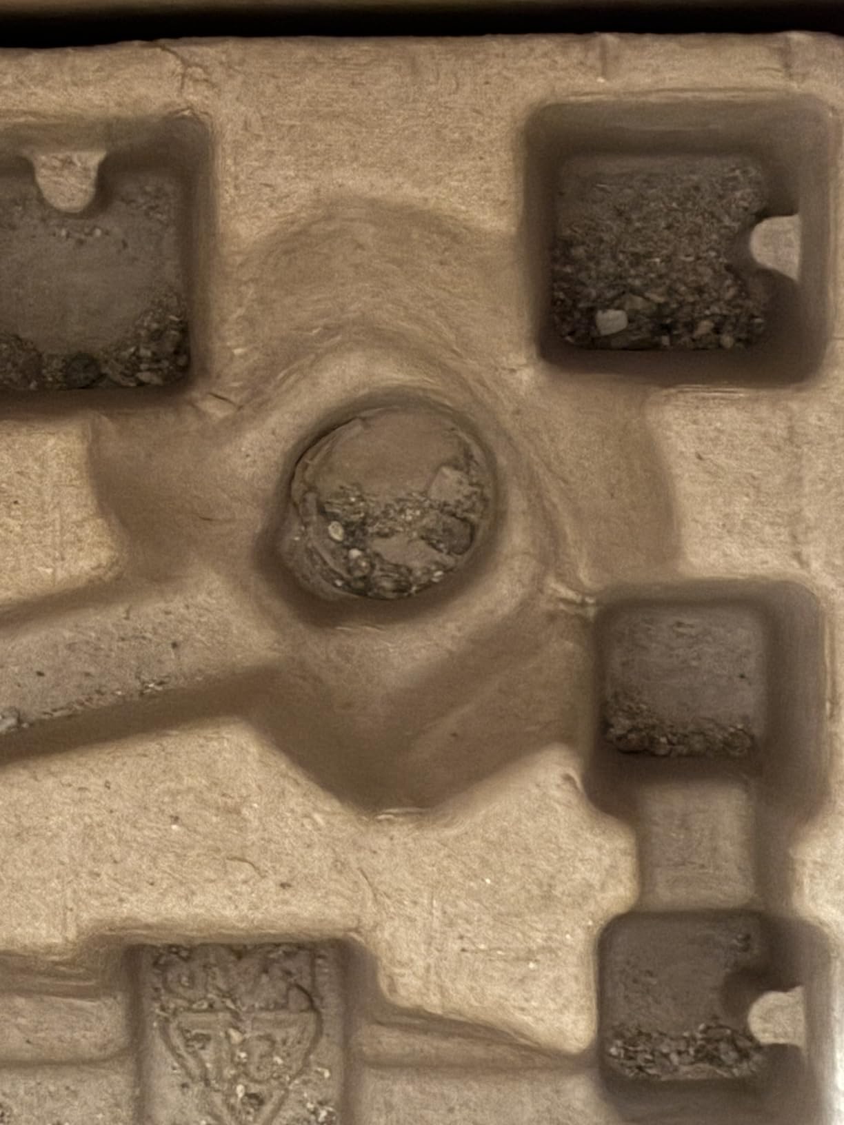 PurSteam Professional Steam Mop | Multi-Surface Floor Cleaner for Hardwood, Tile, Laminate & Carpet | Fast Heating, Lightweight & Chemical-Free Cleaning customer photo 1