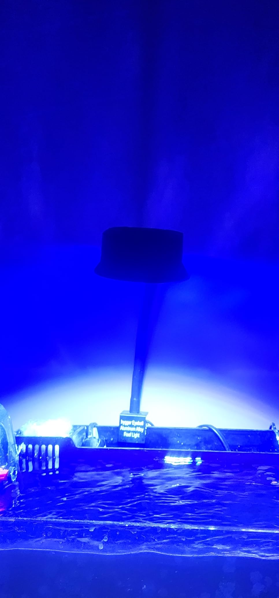 hygger 36W Saltwater Aquarium Light, Reef Light for Corals with Timer Adjustable Color and Brightness, Fish Tank Light with Controller for Marine Aquarium LED 16 to 20-Inch customer photo 1