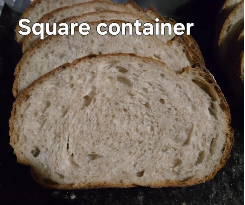 Brod & Taylor Proofing Container With 6L Capacity (Dishwasher Safe, BPA-Free) customer photo 1