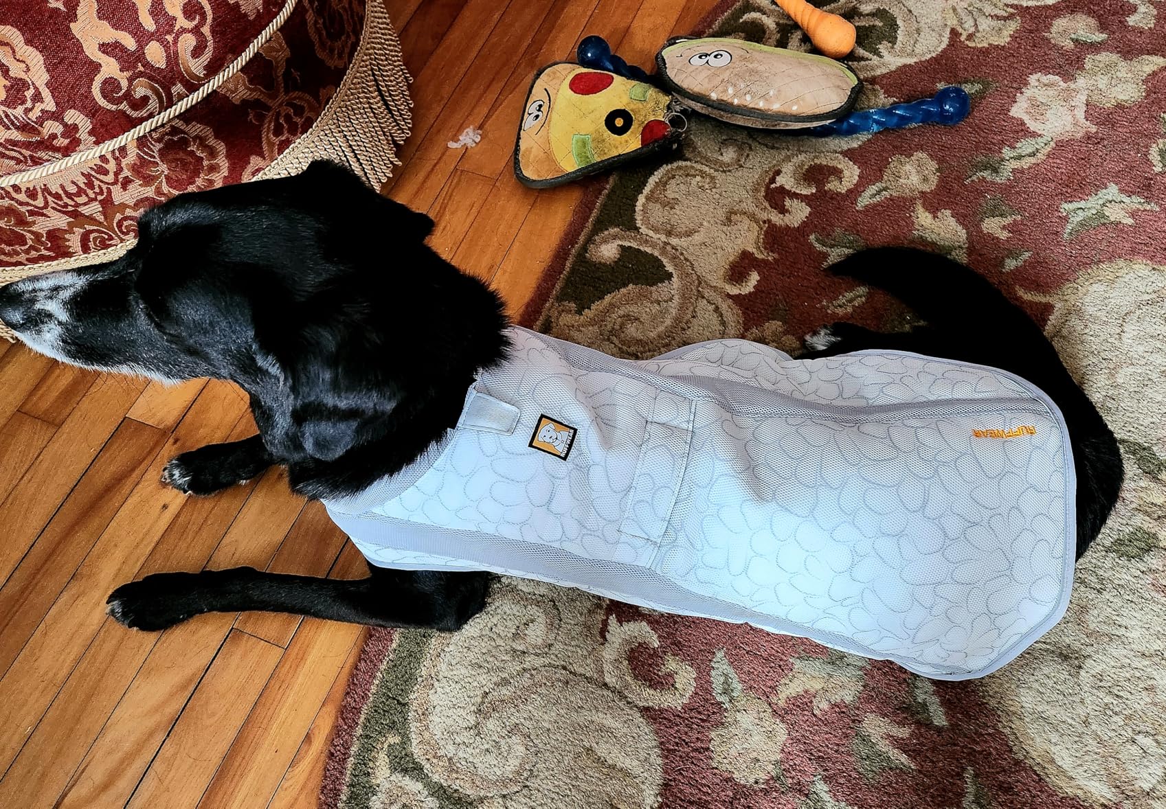 Ruffwear, Swamp Cooler Dog Vest, Evaporative Cooling for Hot Weather, Compatible with Most Harnesses, Biolumin Blue, Medium customer photo 2