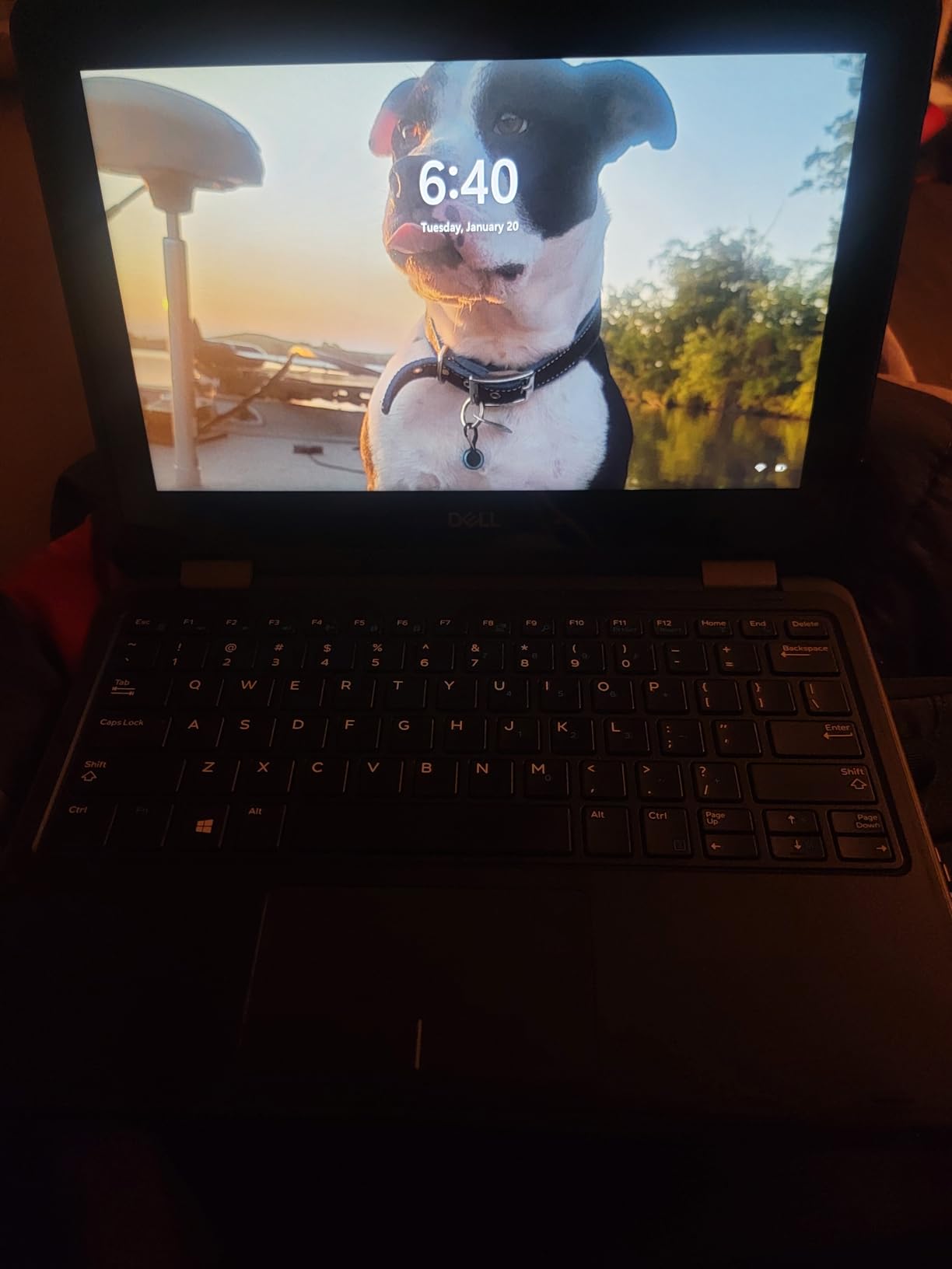 Dell Latitude 3190 11.6