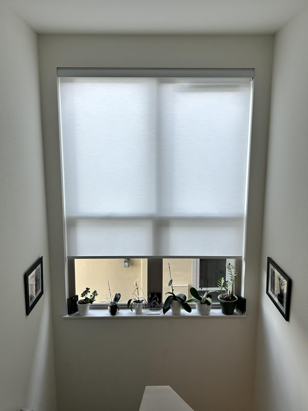 Kincmo Motorized Blinds with Remote, Light Filtering Roller Shades Work with Apple Homekit,Alexa,Google Home, Custom Electric Blinds with App,Voice Control (60% Blackout Atlantic White) customer photo 2