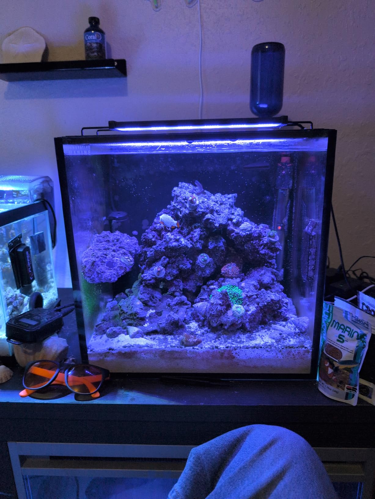 hygger LED Saltwater Aquarium Light, 24/7 Mode Nano Tank Reef Light for Coral, Refugium Light with White, Blue, U-V LEDs Dimmer Timer Moonlight Mounting Bracket 2 Metal Legs 11'' Long 19W customer photo 1