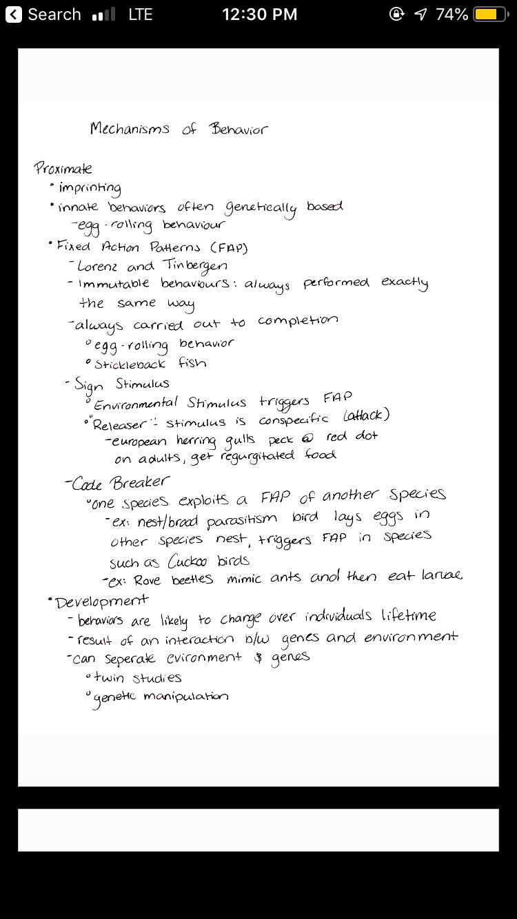 Rocketbook Core Reusable Smart Notebook, Dot Grid Pages For School, Work and Creative Projects, Executive Size 6x8.8, Black - Premium customer photo 2