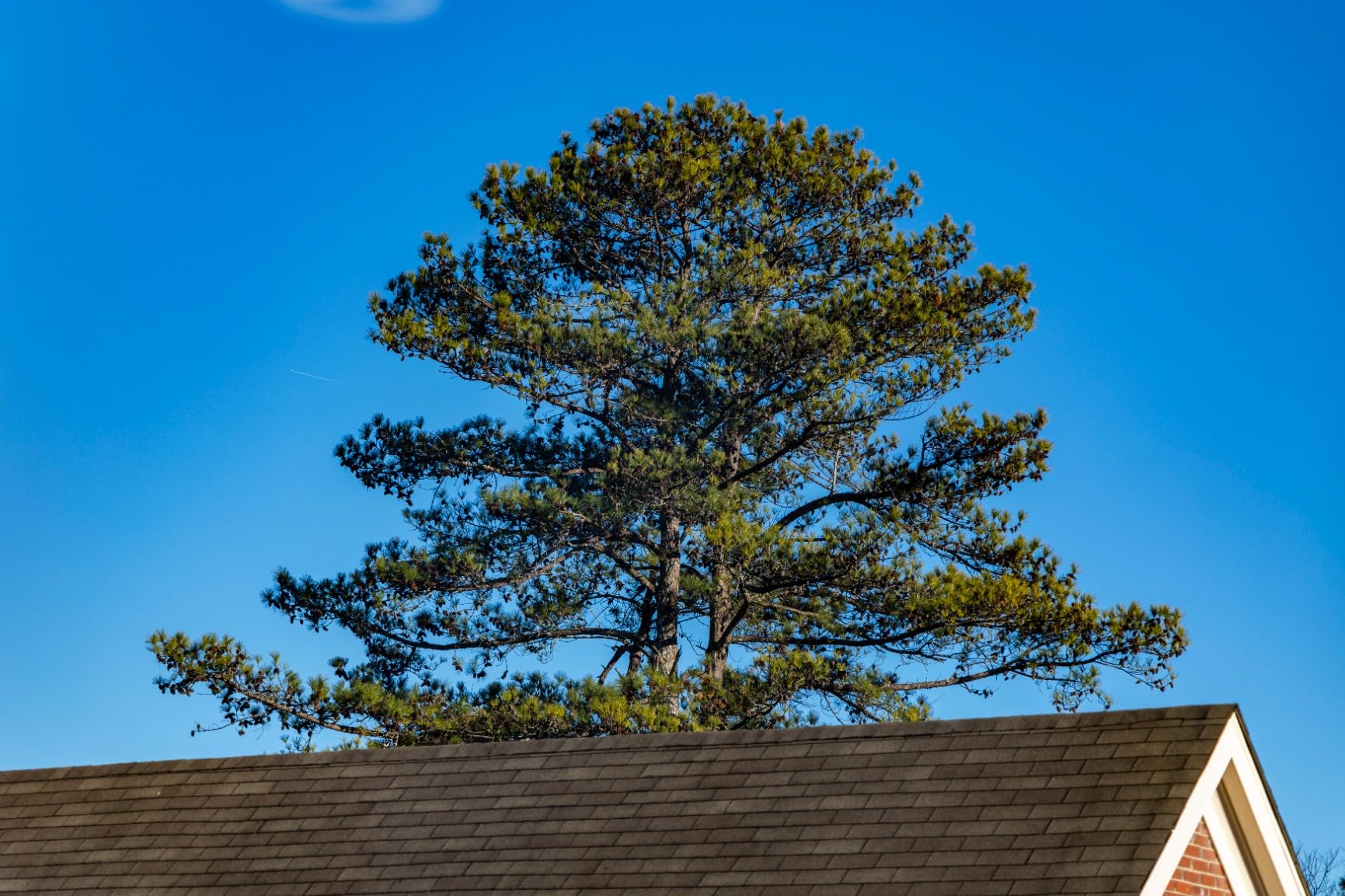 Neewer HD True Colors 55mm Variable ND Filter ND2-512 (1-9 Stops), VND Filter & Magnetic ND32 Lens Filter, Multi Coated Neutral Density Filter, No Color Shift/No X Cross/No Vignetting customer photo 2