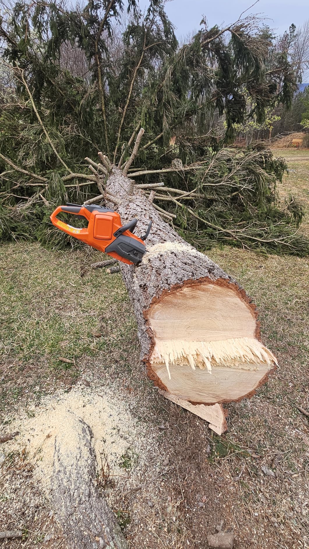 Husqvarna 435i Battery Chainsaw, 16-Inch Cordless Electric Chainsaw with 7.5 Ah Battery and Charger Included customer photo 2