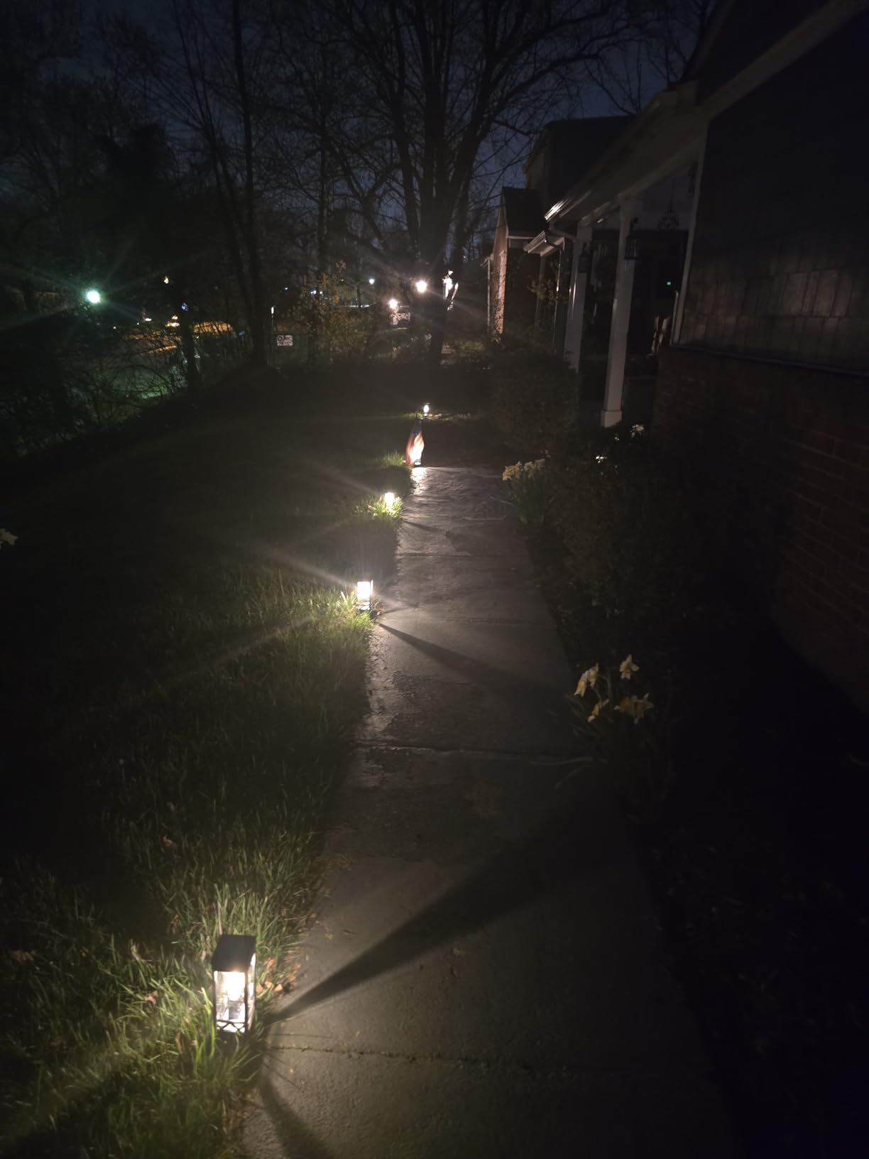 KOOPER Taller Solar Pathway Lights Outdoor, 8 Pack Upgraded Brighter Solar Garden Lights, Up To 15 Hours Outdoor Solar Lights for Yard Landscape customer photo 1