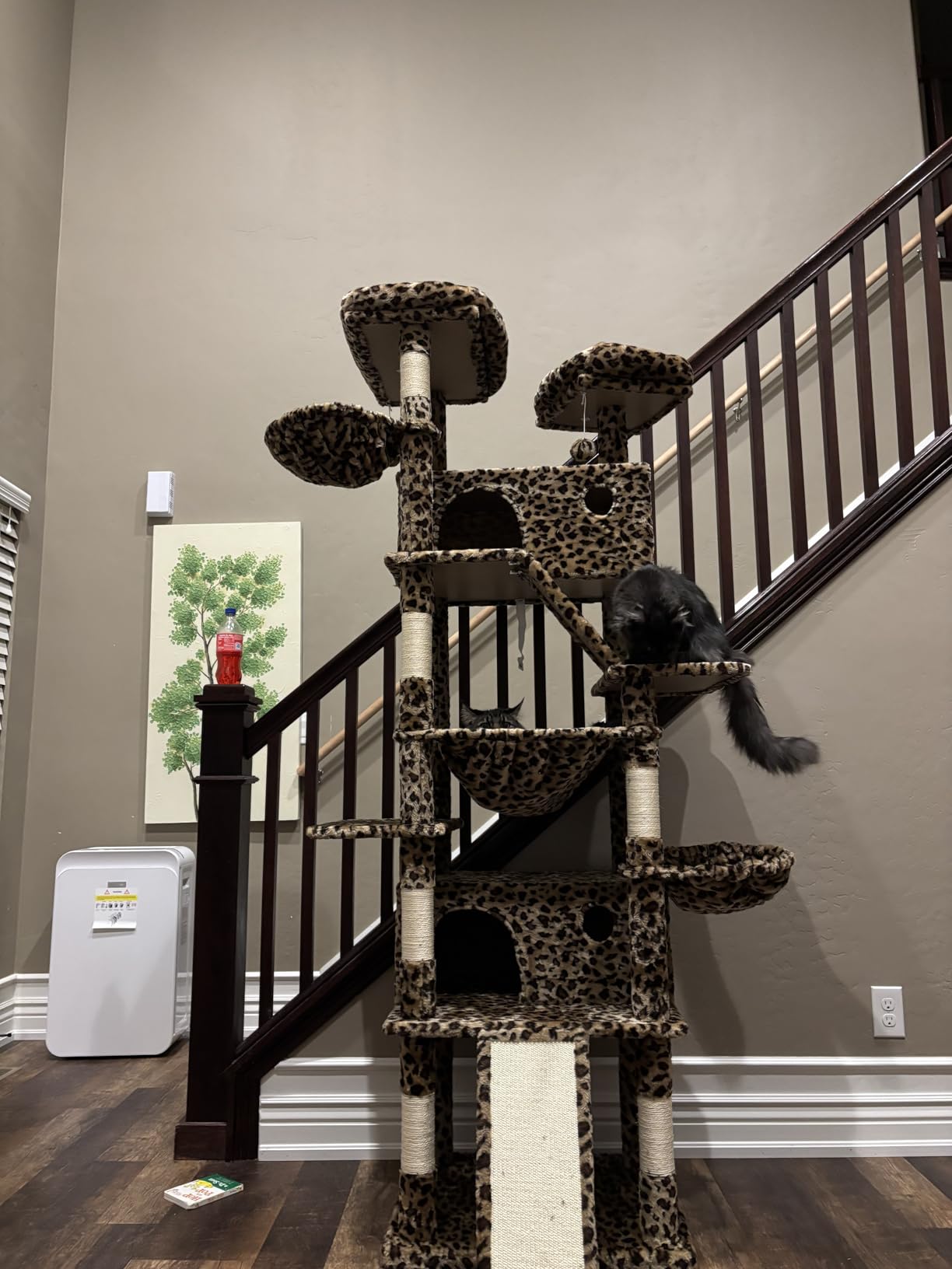 Allewie 81 Inches Tall Cat Tree/Multi-Level Large Climbing Tree House and Towers for Big Feline/Condo and Hammock/Scratching Post/Wide Base/Dark Grey customer photo 1
