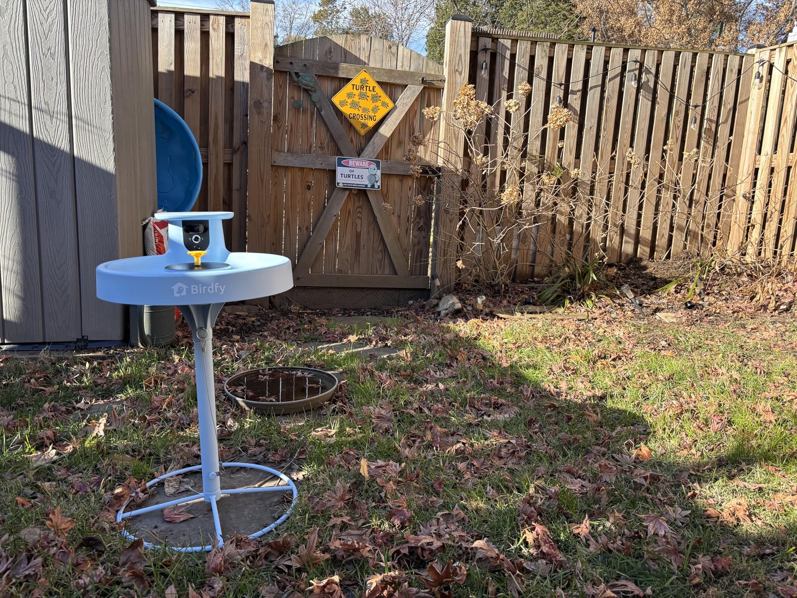 Birdfy Smart Bird Bath with Camera Solar Powered & Fountain, Dual-Lens Camera for Wildbird Watching, Auto Capture Bird Videos & Motion Detection - AI Lifetime Version customer photo 2