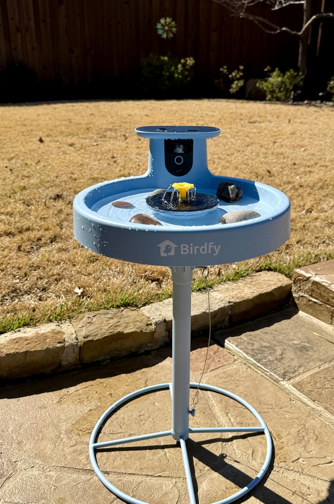 Birdfy Smart Bird Bath with Camera Solar Powered & Fountain & Stand, Dual-Lens Camera for Wildbird Watching, Auto Capture Bird Videos & Motion Detection - AI by Subscription customer photo 1