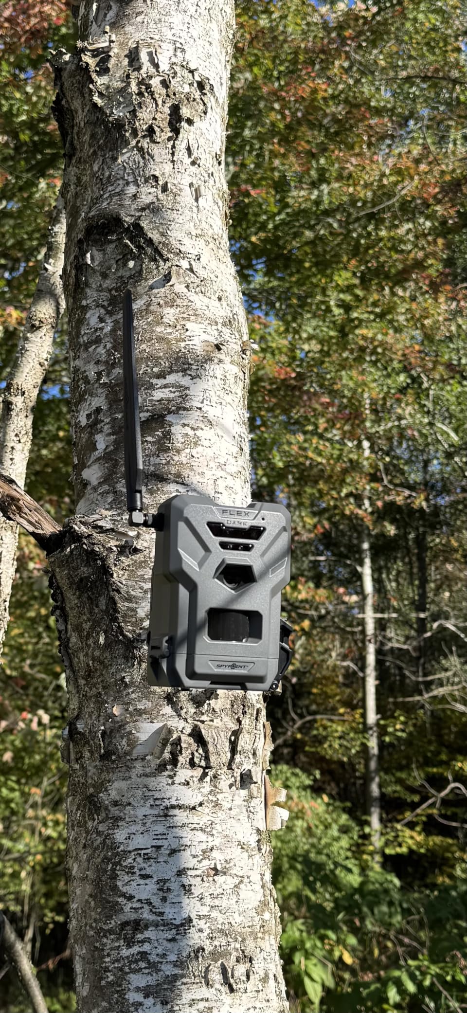 SPYPOINT Flex-Dark Twin Pack Cellular Trail Camera, 40MP Photos, 1080p Video + Sound, No-Glow Game Camera, Hunting Night Vision, Motion Activated,100ft Detection, No WiFi Needed Trail Cam customer photo 1